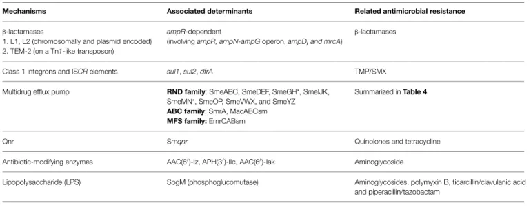TABLE 3 | Molecular mechanisms of antimicrobial resistance in S. maltophilia.