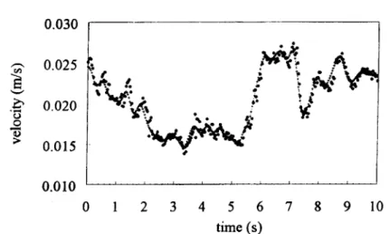 Figure 1. The relation between times (s) and velocity (m/s) by time-series experimental data (from Porporato and Ridolfi, [12]).