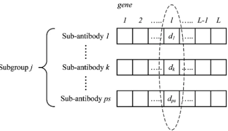 Fig. 7. Composition of subgroup with these subantibodies.