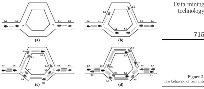 Figure 2. The behavior of real ants