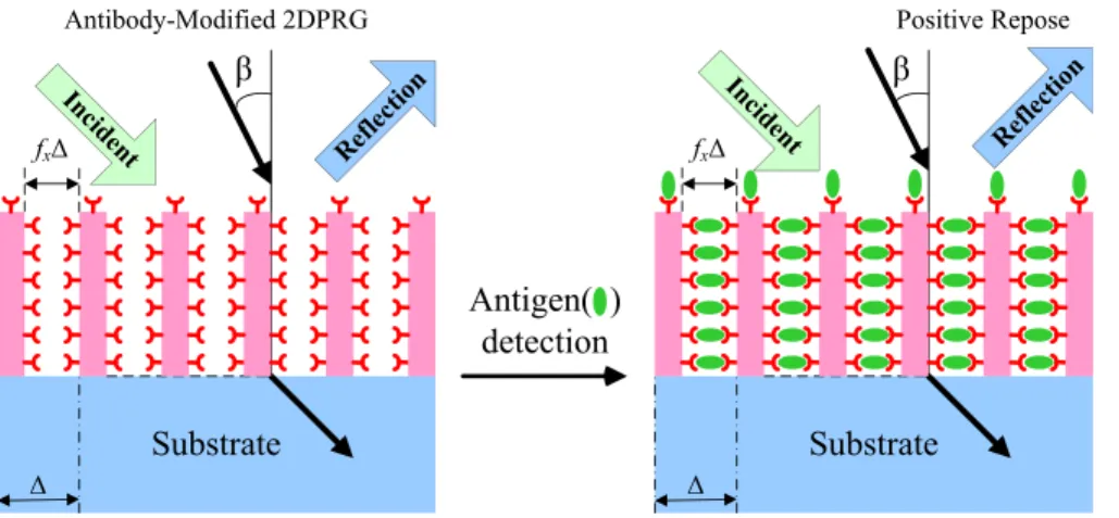FIG. 1. Schematic representation of the cross-section of the sensor—a  sym-metric 2-D periodic relief grating (2DPRG) with FF in the x direction (f x )