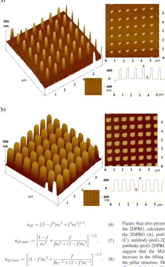 FIG. 3. 3-D (left), 2-D (upper right), and line cross-section analysis (lower right) AFM topographic images of the MAHA-modified 2DPRG (a) before and (b) after coupling with MHHA.