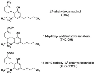 Fig. 1. Molecular structures of THC, THC-OH, and THC-COOH.