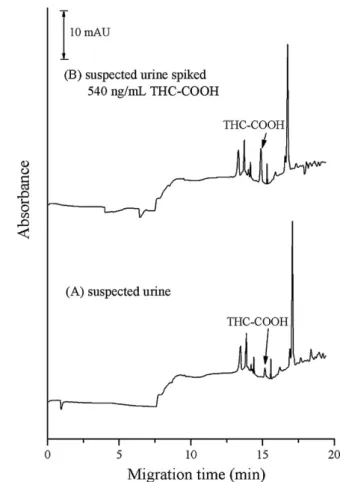 Fig. 5. Sweeping-MEKC electropherograms of SPE-extracted samples of (A) blank urine and (B) blank urine spiked with analytes (0.67 ␮g/mL)