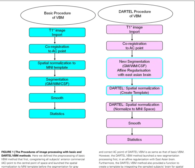 FIGURE 1 | The Procedures of image processing with basic and DARTEL VBM methods. Here we defined the preprocessing of basic VBM method that first, coregistering all subjects’ anterior commercial (AC) point to the central point of space and launched the spa
