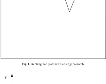 Fig. 2. Dimensions and coordinates for a V-notched plate.