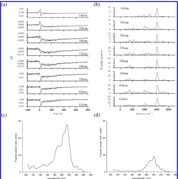 Figure 2. (a) Real-time traces and (b) Fourier power spectra of traces calculated from 50 to 800 fs at eight typical wavelengths