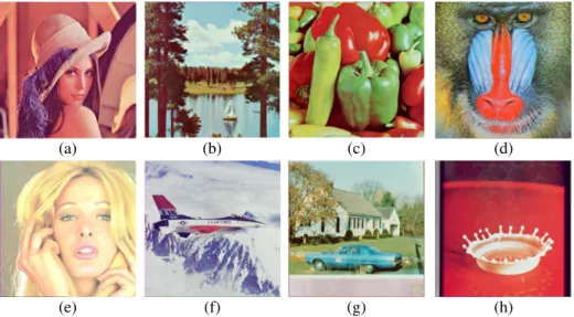 Fig. 5 Test images (a) Lena (b) Lake (c) Peppers (d) Baboon (e) Tiffany (f) F16 (g) House (h) Splash