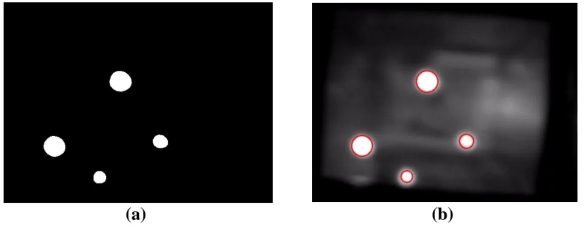 Figure  6(b)  shows  the  connected-components  of  the  bright  blobs  obtained  from  Figure  6(a)