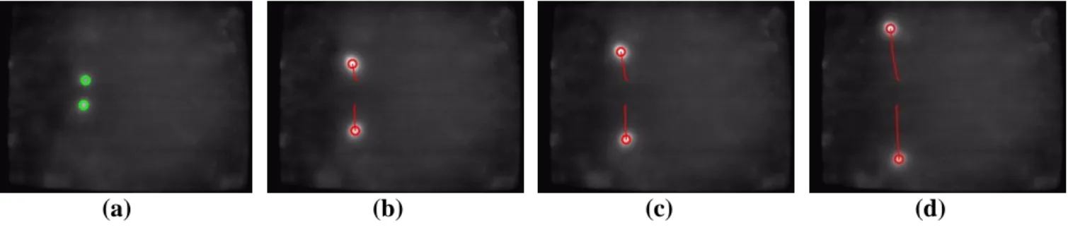 Figure  12.  Touch  finger  detection  and  tracking  results  of  the  proposed  system  in  Test  sequence  2