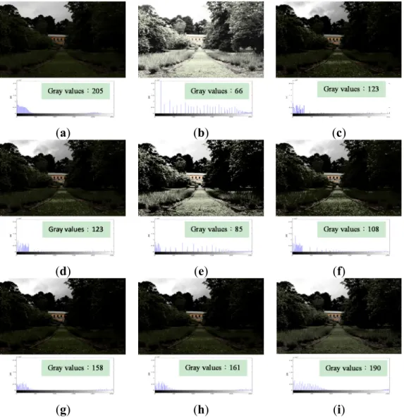 Figure 6. Comparison results for the image “Landscape” [23] (image size: 596 × 397 pixels)