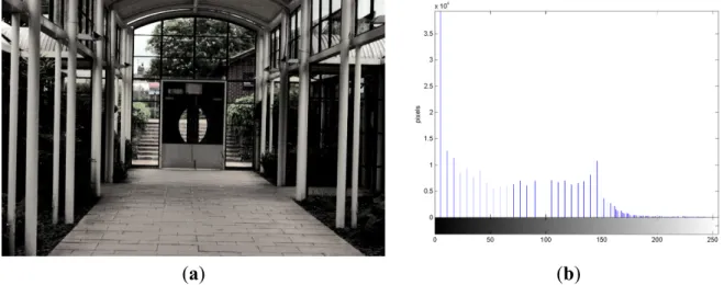 Figure 4. “Indoor View” processed by detailed texture enhancement (DTE). (a) DTE image;  (b) DTE histogram