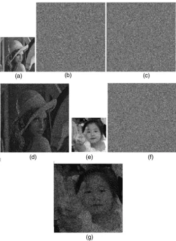 Fig. 5 Sharing the secret image “Lena” 共see step 3 of the encoding algorithm 兲 by filling in the undetermined parts of Fig