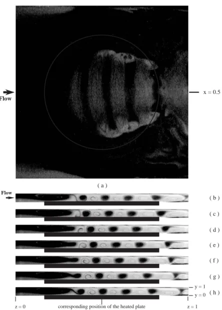 Fig. 6. Top view ﬂow photo at y ¼ 0:5 (a) and side view ﬂow photos for the central vertical plane at x ¼ 0:5 in a typical periodic cycle for Re ¼ 10:1 and Ra ¼ 11; 594 at time (b) t; (c) t þ 1=7t p ; (d) t þ 2=7t p ; (e) t þ 3=7t p ; (f) t þ 4=7t p ; (g) t