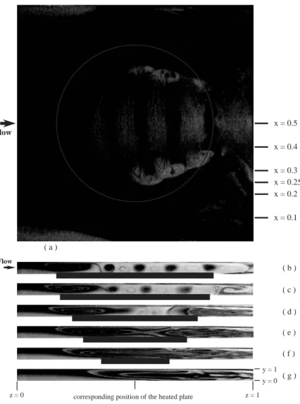 Fig. 4. Top view ﬂow photo at y ¼ 0:5 (a) and side view ﬂow photos on the planes: (b) x ¼ 0:5; (c) x ¼ 0:4; (d) x ¼ 0:3; (e) x ¼ 0:25; (f) x ¼ 0:2; and (g) x ¼ 0:1 at statistical state for Re ¼ 10:1 and Ra ¼ 11; 594: