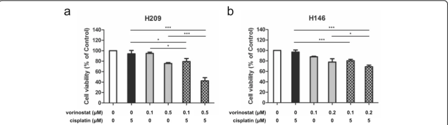 Fig. 2 Enhanced antigrowth activity of vorinostat combined with cisplatin in SCLC cells