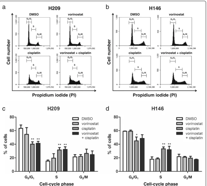 Fig. 4 Cell cycle progression analysis of vorinostat in combination with cisplatin in SCLC cells