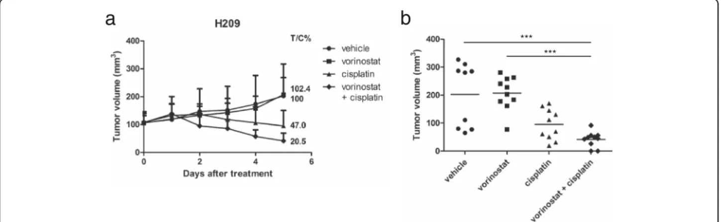 Fig. 6 Antitumor activity of combined vorinostat and cisplatin in H209 xenografts. Immunodeficient nude mice bearing subcutaneously established H209 xenograft tumors were randomized to 4 groups and received the indicated treatments: (I) vehicle, (II) vorin