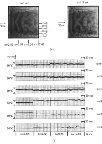 FIG. 16. Temporal structure of vortex flow from ~a! top-view photos and ~b! time records of air temperature on line y5 12 and