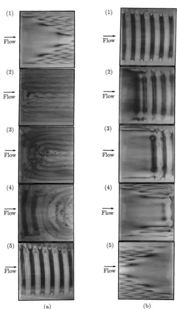FIG. 3. Flow-pattern transformation effected by changing Re in 6 s ~a! decreasing Re from 20 to 5 at Ra54000 and t5(1) 0 s, ~2! 16 s, ~3! 26 s, ~4! 44 s, and ~5! 73 s; ~b! increasing Re from 5 to 20 at Ra 54000 and t5(1) 0 s, ~2! 6 s, ~3! 10 s, ~4! 14 s, a