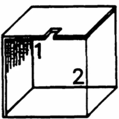 Figure 4. One of the partially biased Necker cubes used by Peterson Gibson (1991). 1 