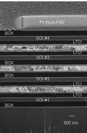 Fig. 12. Morphology and strength map for copper wafer bonding [16].