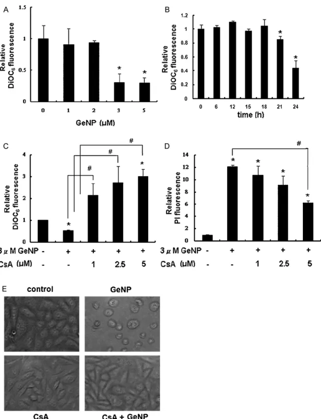 Fig. 7. GeNP treatment reduced MMP level and caused cell damage. (A) Cells were treated with various concentrations of wsGeNP for 24 h and MMP level was determined