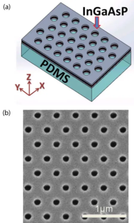 Fig. 1. (a) Illustration of the triangular-lattice PhC band-edge laser on a PDMS substrate