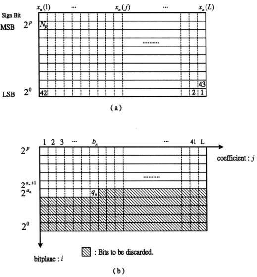 Fig. 6. (a) Binary representation of the coefficients in the nth super tree. (b) Quantization of the nth super tree with respect to a quantization index q .