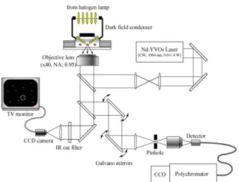 Figure 2. Wide field light scattering microspectroscopic imaging system 