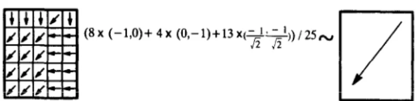 Figure  3.  Micro-scale  variation  vs.  macro-scale  trend  (vectorial  average  method)