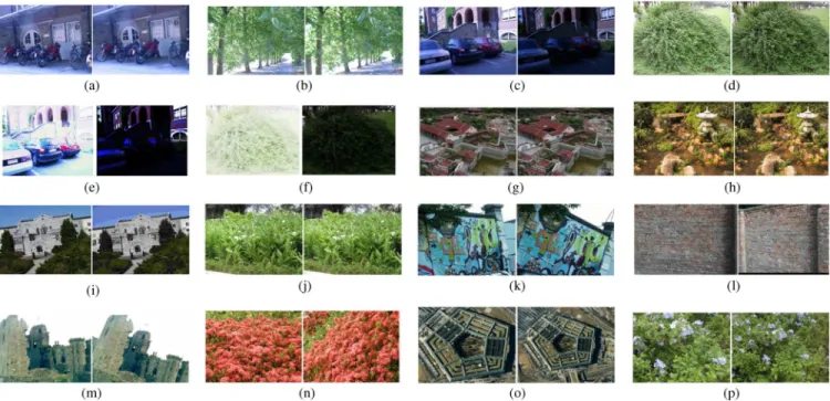 Fig. 3. Representative test image pairs taken from the textured and structured scenes under a specified photometric or geometric transformation
