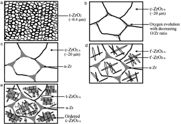 Fig. 8. Schematic diagrams showing the microstructural evolution of the zirconia side in ZrO 2 /Ti diffusion couple annealed at 15501C/6 h