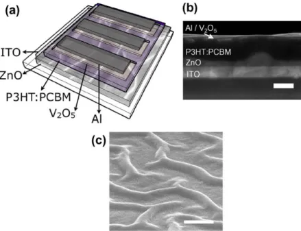 Fig. 2. AFM images of the (a) ZnO nano-ridge and (b) ZnO nanoparticle planar ﬁlms showing a 5 l m  5 l m surface area