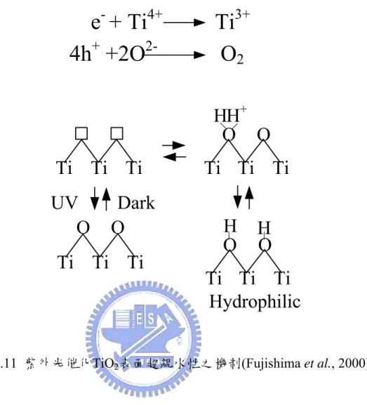 圖 2.11 紫外光催化TiO 2 表面超親水性之機制(Fujishima et al., 2000) 