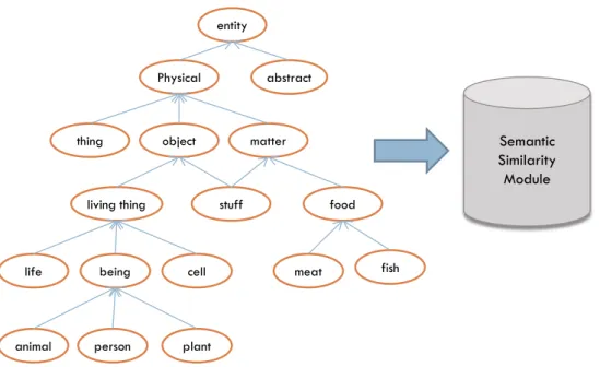 Figure 3. Import semantic concepts from WordNet 