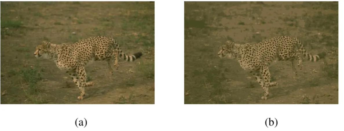 Fig. 2.2 An Example of Color Quantization. (a) A full color (24bit) image.  (b) A quantized image with only eight colors.