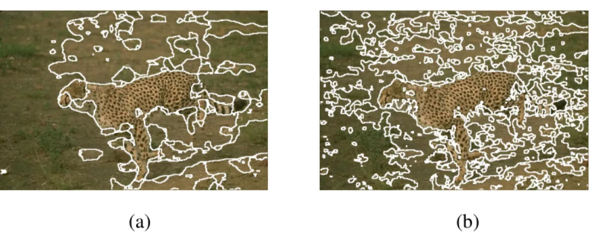 Fig. 2.3 Examples of regional segmentation. (a)The result using window  size=15 to calculate feature vectors