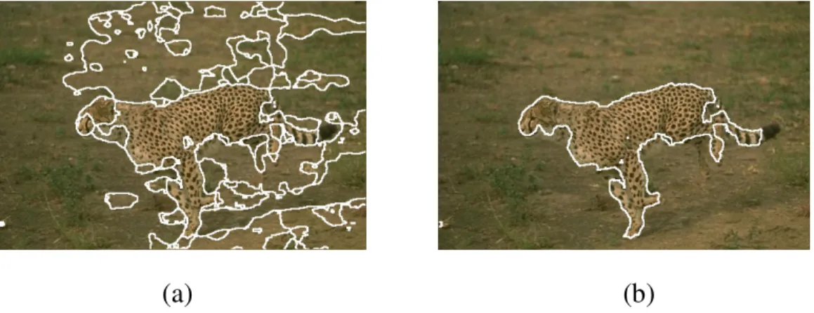 Fig. 2.4 An example of region merging. (a) The regional segmentation  result in stage I
