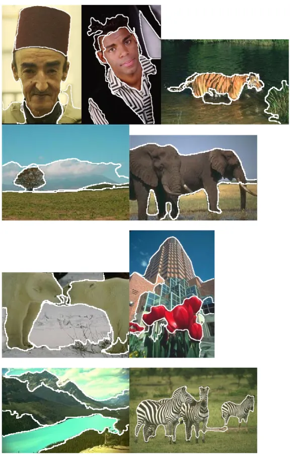 Fig. 3.3 Other segmentation results using our method. 