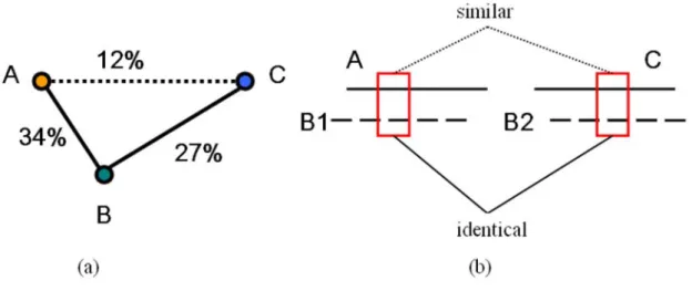 Figure 2 – Two different transitivity relationships. (a) Protein A and protein B share  sequence identity of 34%, and protein B and protein C share sequence identity of 27%,  whereas protein A and protein C only share sequence identity of 12%