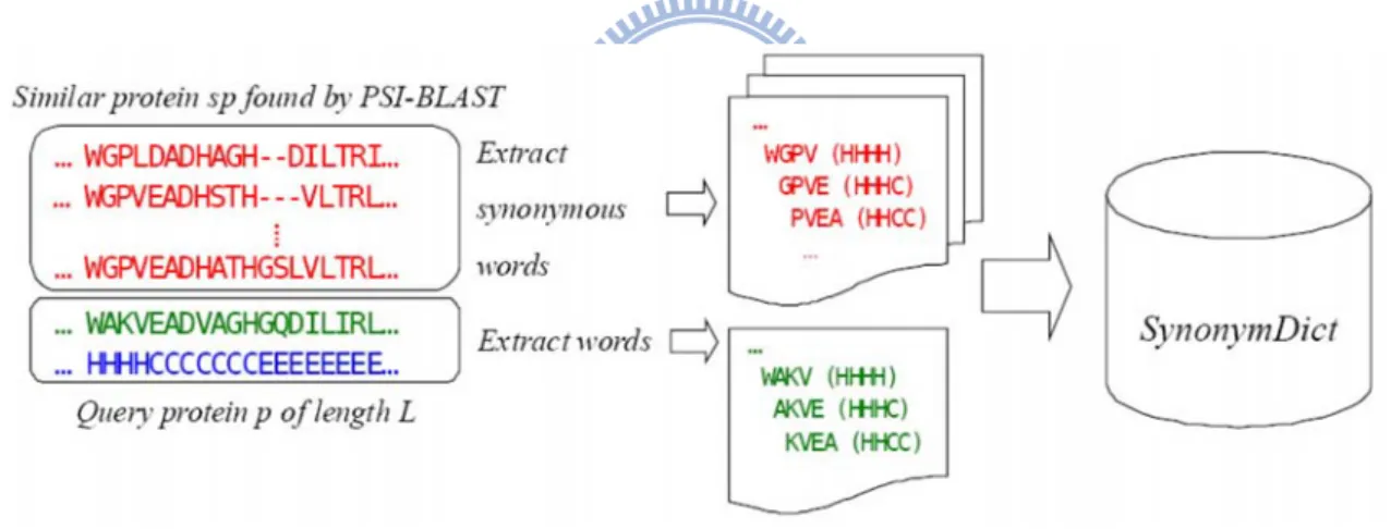 Figure 3 shows the procedure used to extract protein words and synonymous words for a  query protein p