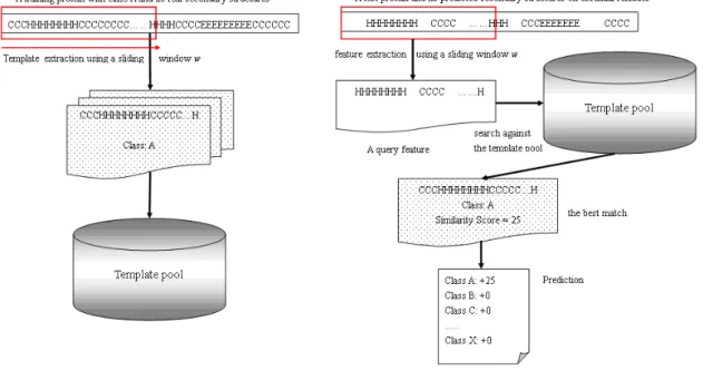 Figure 6 – The main algorithm of ProtoPred. (a) Template extraction (b) The prediction  procedure