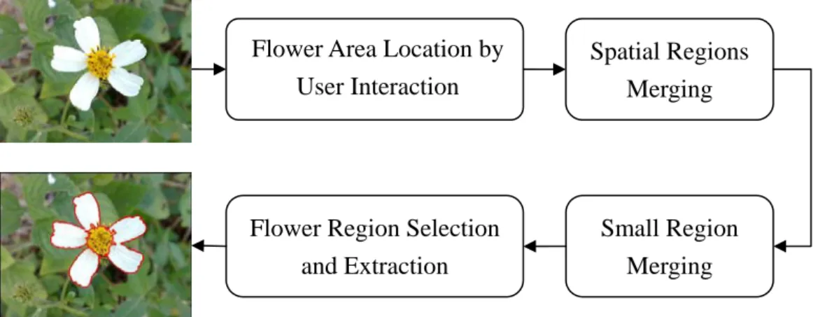 Fig. 6 The flow chart of the preprocessing steps of flower recognition. 