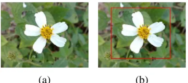 Fig. 7 An example of determining flower area location by user interaction. (a)  Original image
