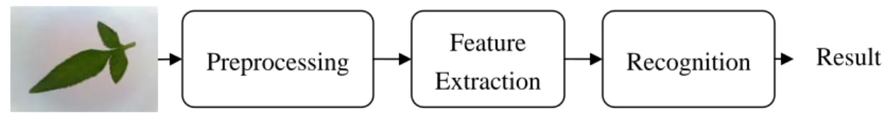 Fig. 13. After that, the leaf object can be extracted and be normalized. 