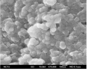 Figure 3.2 SEM image of micromorphological characteristic of the frosted copper plate coated  with TiO 2  nanopowder