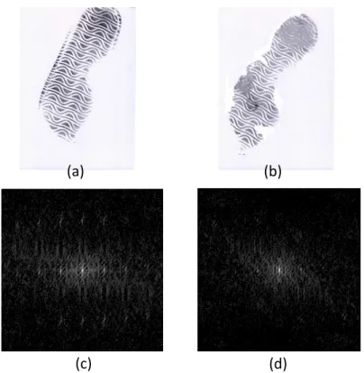 Fig.  11.  An  example  of  the  high‐frequency  components.  (a)  A  print  with  full  integrity.  (b)  The  same  print  with  (a)  with  scuffs  and  nicks.  (c)  The  enhanced  Fourier spectrum of (a). (d) The enhanced Fourier spectrum of (b). (c) (d)