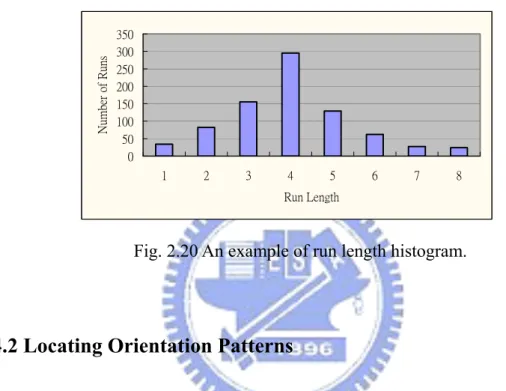 Fig. 2.20 An example of run length histogram. 