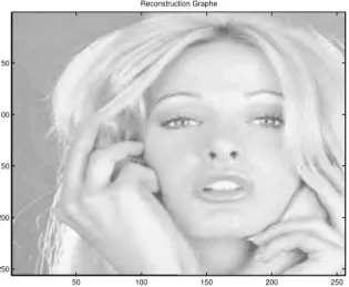 Figure 3.3: Image reconstructed from a truncated wavelet coefficients with compression ratio 7.4873.